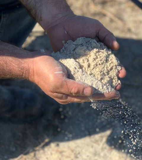 Sustainability: Gypsum in the Vines